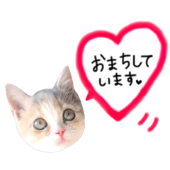 [LINEスタンプ] めるめる！