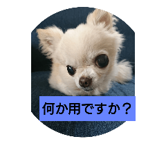 [LINEスタンプ] 我が家のくっく2