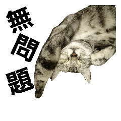 [LINEスタンプ] 猫のミント