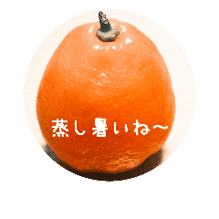 [LINEスタンプ] 美味しそうなフルーツと野菜の会話の画像（メイン）