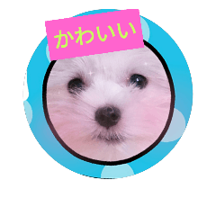 [LINEスタンプ] いろんなラテ