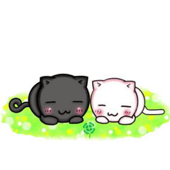 [LINEスタンプ] 黒猫と白猫の日常