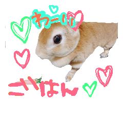 [LINEスタンプ] うさぎのすたんぴー2