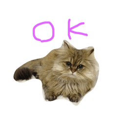 [LINEスタンプ] ざ ねこ