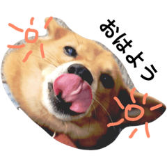 [LINEスタンプ] ひけし