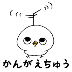 [LINEスタンプ] しらたまピヨちゃん1 シンプル編