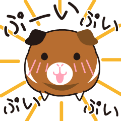 [LINEスタンプ] モルモット"だる"の楽しい毎日