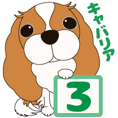 [LINEスタンプ] キャバリア犬♪ブレンハイム(白少なめ)3