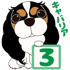 [LINEスタンプ] キャバリア犬♪トライカラー3