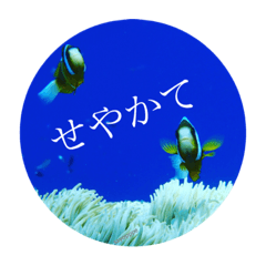 [LINEスタンプ] 関西弁の海の仲間