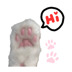 [LINEスタンプ] うちの猫チョーかわいい