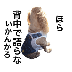 [LINEスタンプ] なまり犬PONくん