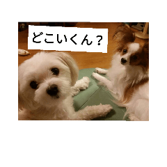 [LINEスタンプ] りんここのいちにち