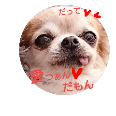 [LINEスタンプ] チワワの愛つぁん＆家族とお友達  その3