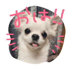 [LINEスタンプ] 鈴之介