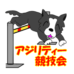 [LINEスタンプ] アジリティードッグ ボーダーコリー