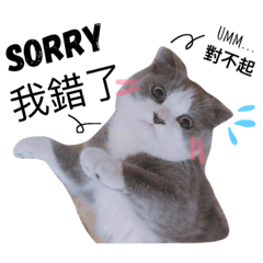 [LINEスタンプ] 猫 犬 のファンタジープラネット