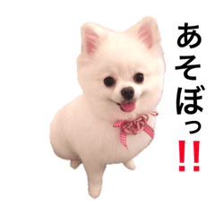 [LINEスタンプ] りりスタンプ2018