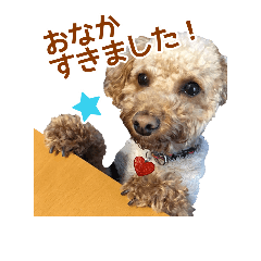 [LINEスタンプ] シーサニードッグのおともだち