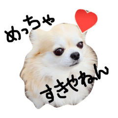 [LINEスタンプ] 話せる チワワ