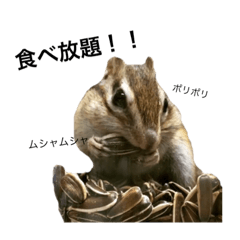 [LINEスタンプ] シマリス☆チュラウミ