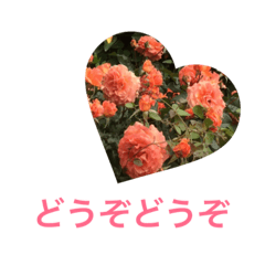 [LINEスタンプ] 花のあいさつ