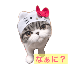 [LINEスタンプ] 大将どんの日常