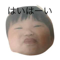 [LINEスタンプ] あおすけまる