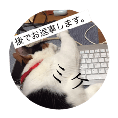 [LINEスタンプ] 三毛猫ミケちゃんのスタンプ