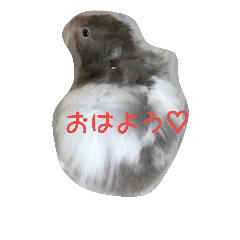 [LINEスタンプ] ハムちゃん物語