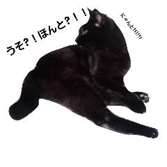 [LINEスタンプ] ねこのさくとみずき