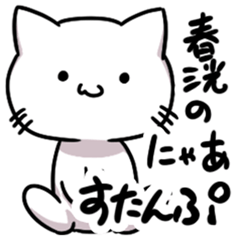 [LINEスタンプ] 春洸のにゃあすたんぷ