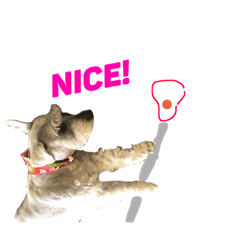 [LINEスタンプ] ラクロス dog！