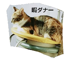 [LINEスタンプ] 僕のスタンプだ