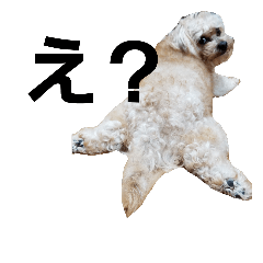 [LINEスタンプ] れぉくん