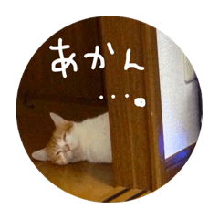 [LINEスタンプ] つくねとつくし