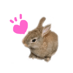 [LINEスタンプ] Rabbitな日々