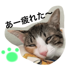 [LINEスタンプ] コムギとれい