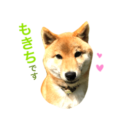 [LINEスタンプ] みかん と もきち