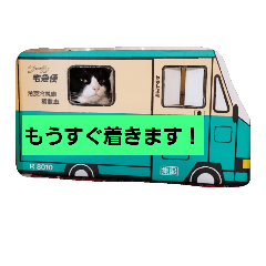 [LINEスタンプ] はちわれ猫とウサギ