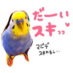 [LINEスタンプ] 秋田犬とインコちゃんのスタンプ