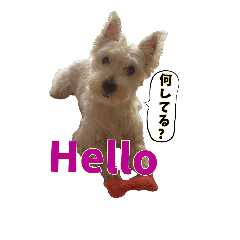 [LINEスタンプ] ウェスティのれな