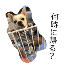 [LINEスタンプ] フレンチブルのボブの楽しい毎日♡