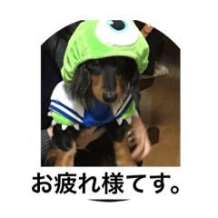 [LINEスタンプ] 犬松崎