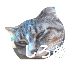 [LINEスタンプ] だらっと猫ズ