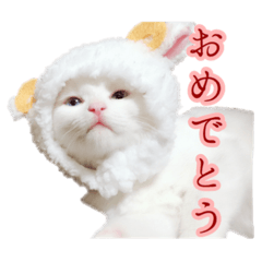 [LINEスタンプ] 飼い主の自己満ましゅー