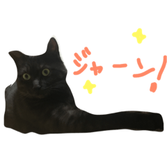 [LINEスタンプ] 黒猫 ルナ カフェ