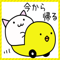 [LINEスタンプ] 使いやすい☆まんまる猫