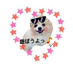 [LINEスタンプ] ポメラニアンのことら