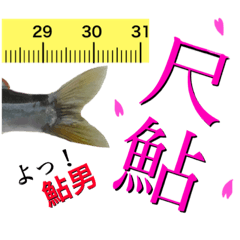 [LINEスタンプ] 【サイズ表示版】鮎釣り中に使えるスタンプ
